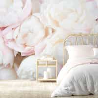 Soft Blushing Peony Wallpaper Mural 1