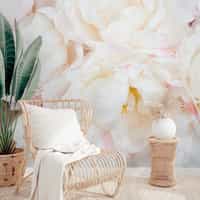 Soft Blushing Peony Wallpaper Mural 3