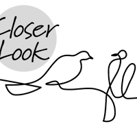 Minimalist Line Art Birds Pattern Wallpaper Mural 6