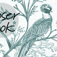 Chinoiserie Bird and Blossom Pattern Wallpaper Mural 4