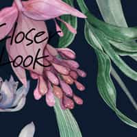 Exquisite Midnight Garden Bloom Wallpaper Mural 4