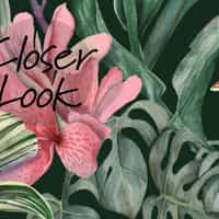 Exquisite Midnight Garden Bloom Wallpaper Mural 4