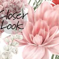 Girls Room Flower Bouquet Wallpaper Mural 6