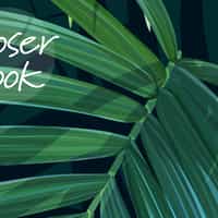 Lush Tropical Palm Fronds Wallpaper Mural 7