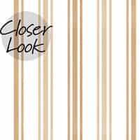 Elegant Vertical Striped Wallpaper Mural 5