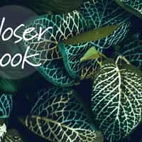 Elegant Botanical Jungle Greenery Wallpaper Mural 5