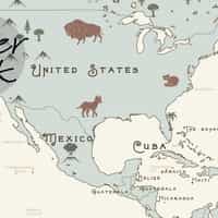 Safari Adventure World Map Kids Wallpaper Mural 4