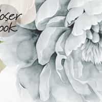 Elegant Pastel Peony Floral Wallpaper Mural  4