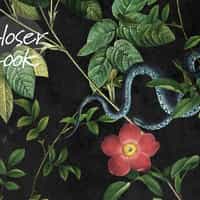 Vintage Botanical Floral Garden Dark Wallpaper Mural 4