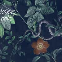 Vintage Botanical Floral Garden Dark Wallpaper Mural 4