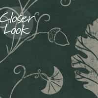 Elegant Floral Vine Pattern Wallpaper Mural 6