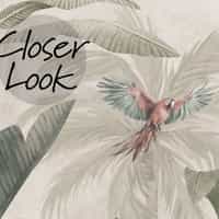 Tropical Palm Trees and Parrots Wallpaper Mural 6