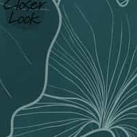 Modern Gingko Leaf Wallpaper Mural 7