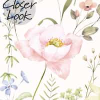 Kids Colorful Wildflower Garden and Butterflies Wallpaper Mural 7