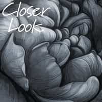 Gothic Serpent Flowers Wallpaper Mural 6