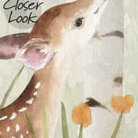Cute Animals and Birch Tree Kids Wallpaper 5