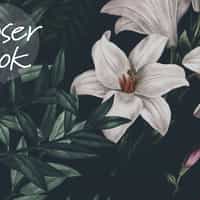 Enchanting Nocturnal Floral Garden Wallpaper Mural 5