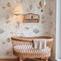 Nursery Playful Animal Musicians and Flowers Wallpaper Mural 1