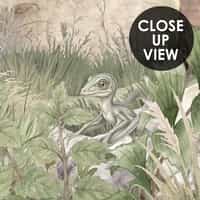 Kids Dinosaur Wallpaper Jungle Wallpaper Mural 9