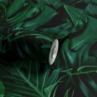 Tropical Wallpaper Mural with Dark Green Foliage 9