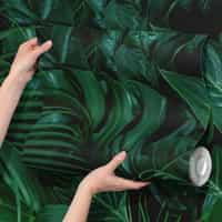 Tropical Wallpaper Mural with Dark Green Foliage 10