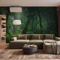 Misty Rainforest Wallpaper Mural 6