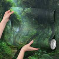 Misty Rainforest Wallpaper Mural 7