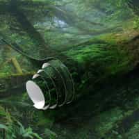 Misty Rainforest Wallpaper Mural 8