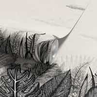 Black and White Tropical Toile Wallpaper Mural 8