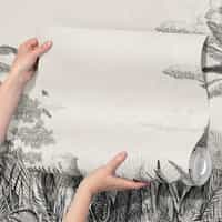 Black and White Tropical Toile Wallpaper Mural 9