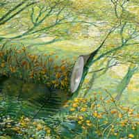 Nature Wallpaper Mural with Sunlit Forest Trees 8