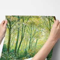 Nature Wallpaper Mural with Sunlit Forest Trees 9