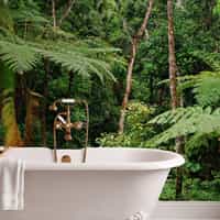 Tropical Rainforest Wallpaper Mural 4