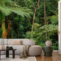 Tropical Rainforest Wallpaper Mural 5