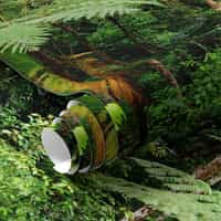 Tropical Rainforest Wallpaper Mural 7