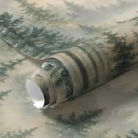 Misty Conifer Forest Wallpaper Mural New 11
