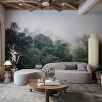 Misty Rainforest Photography Wallpaper Mural 3