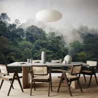 Misty Rainforest Photography Wallpaper Mural 2
