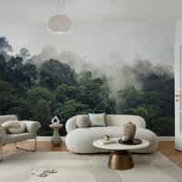 Misty Rainforest Photography Wallpaper Mural 7
