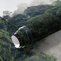 Misty Rainforest Photography Wallpaper Mural 8