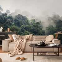 Misty Rainforest Photography Wallpaper Mural 5