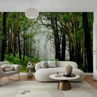 Misty Woodland Road Wallpaper Mural 7