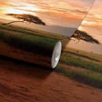African Savannah Sunset Wallpaper Mural 7