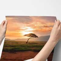 African Savannah Sunset Wallpaper Mural 8