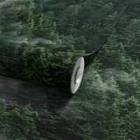 Misty Evergreen Forest Wallpaper Mural 8