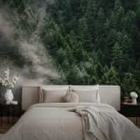 Misty Evergreen Forest Wallpaper Mural 6