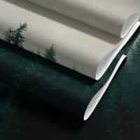 Misty Pine Forest Wallpaper 9
