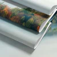 Misty Autumn Forest Wallpaper Mural 8