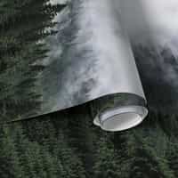 Misty Conifer Forest Wallpaper Mural 7