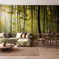 Sunlit Forest Wallpaper From Nature 1
